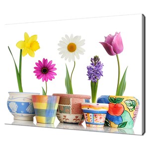 Fiori primaverili colorati in vasi di ceramica Design floreale moderno Decorazione per la casa Stampa su tela Immagine artistica da parete Appeso a parete