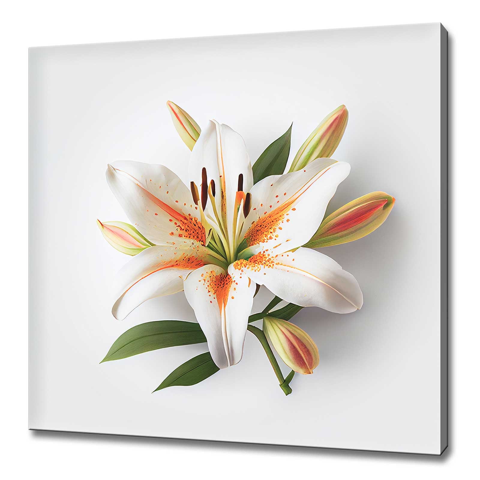 Beautiful White Orange Lily Flower Modern Floral Design Home Etsy