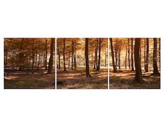 Paesaggio panoramico con alberi in autunno, 3 pannelli, design moderno, decorazione per la casa, stampa su tela, quadro da parete.