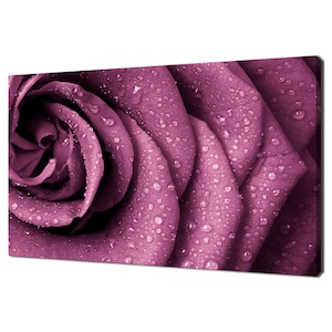 Beautiful Pink Rose Flower With Water Drops Modern Design Home Decor Canvas Print Wall Art Picture