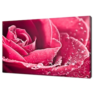 Beautiful Pink Magenta Rose Flower With Water Drops Modern Floral Design Home Decor Canvas Print Wall Art Picture Wall Hanging