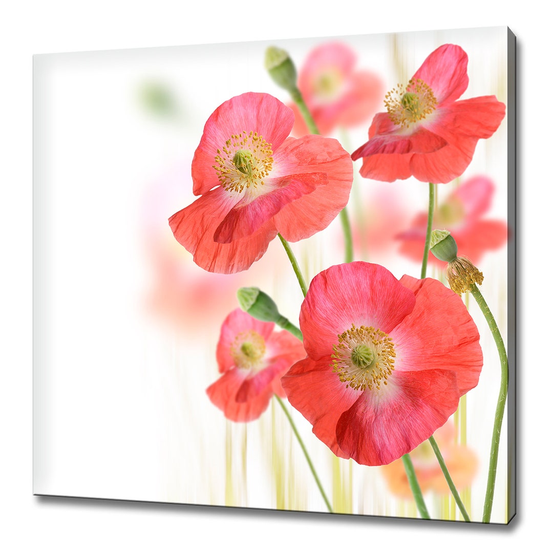 Beautiful Red Poppy Flowers Modern Floral Design Home Decor Canvas ...