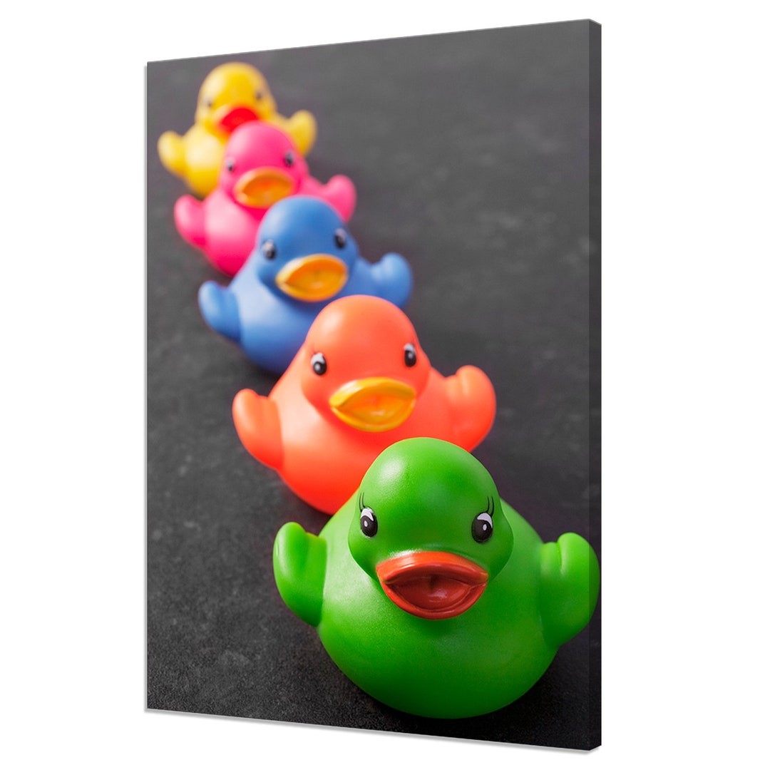 Five Colourful Rubber Ducks Bathroom Decor Modern Design Home Decor ...