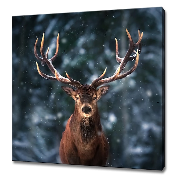 Stunning Male Deer Stag in Winter Snowy Forest Modern Design