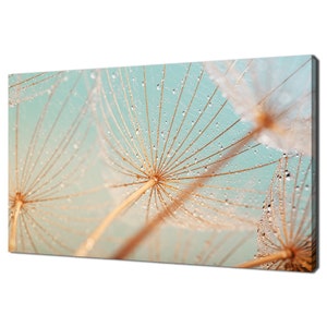 Water Drops On Dandelion Flowers Seeds Modern Design Canvas Print Wall Art Picture