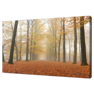 Autumn In The Forest Leaves Covered Path Modern Landscape Design Home Decor Canvas Print Wall Art Picture Wall Hanging