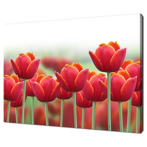 Beautiful Red Tulips Flowers Field Modern Floral Design Home Decor Canvas Print Wall Art Picture Wall Hanging