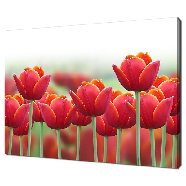 Tulip Wall Art Etsy