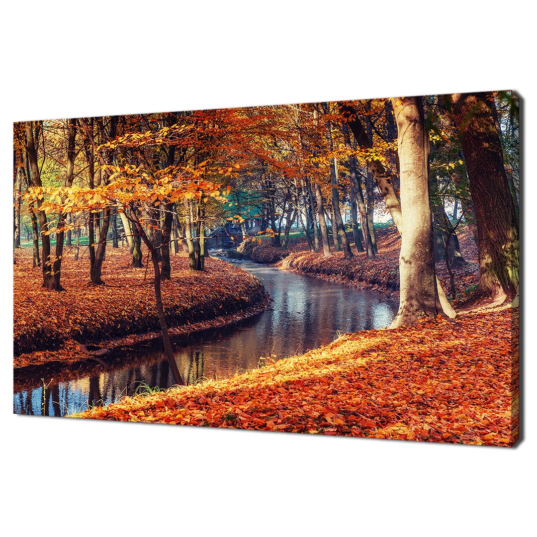 Forest River in Autumn Modern Design Home Decor Canvas Print Wall Art ...