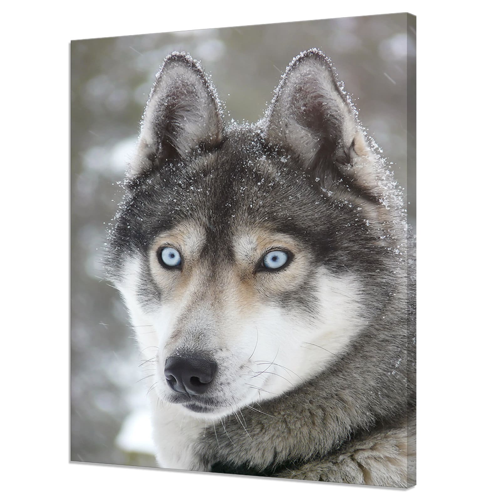 Husky modern 2024 dining table