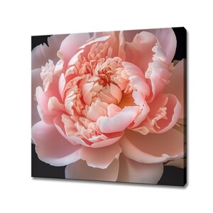 Blooming Pink Peony Flower Close Up Canvas Print Wall Art, Modern Floral Design Home Decor, Botanical Wall Art, Gift For Flowers Lover