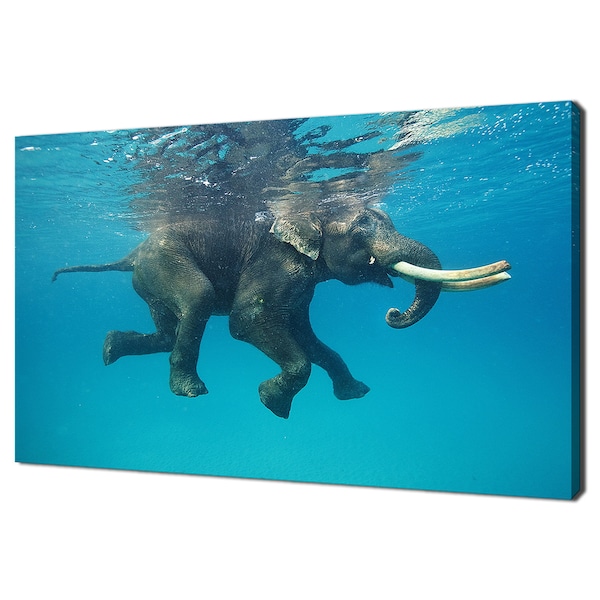 Elefant schwimmt im blauen Meerwasser Modernes Design Wohnkultur Leinwand Wand Kunst Bild