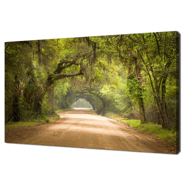 Beautiful Charleston SC Road Through The Forest Oak Trees Modern Landscape Design Home Decor Canvas Print Wall Art Picture Wall Hanging