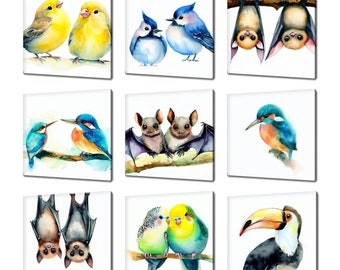 Collection Of Cute Birds Canvas Wall Art, Many Designs Kids Nursery Room Art, Canary, Toucan, Jay Birds, Parrot, Bats Canvas Print Wall Art