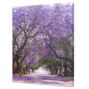 Bellissimi alberi di jacaranda viola in fiore, stampa su tela dal design moderno, decorazione da parete per la casa, immagine da appendere alla parete