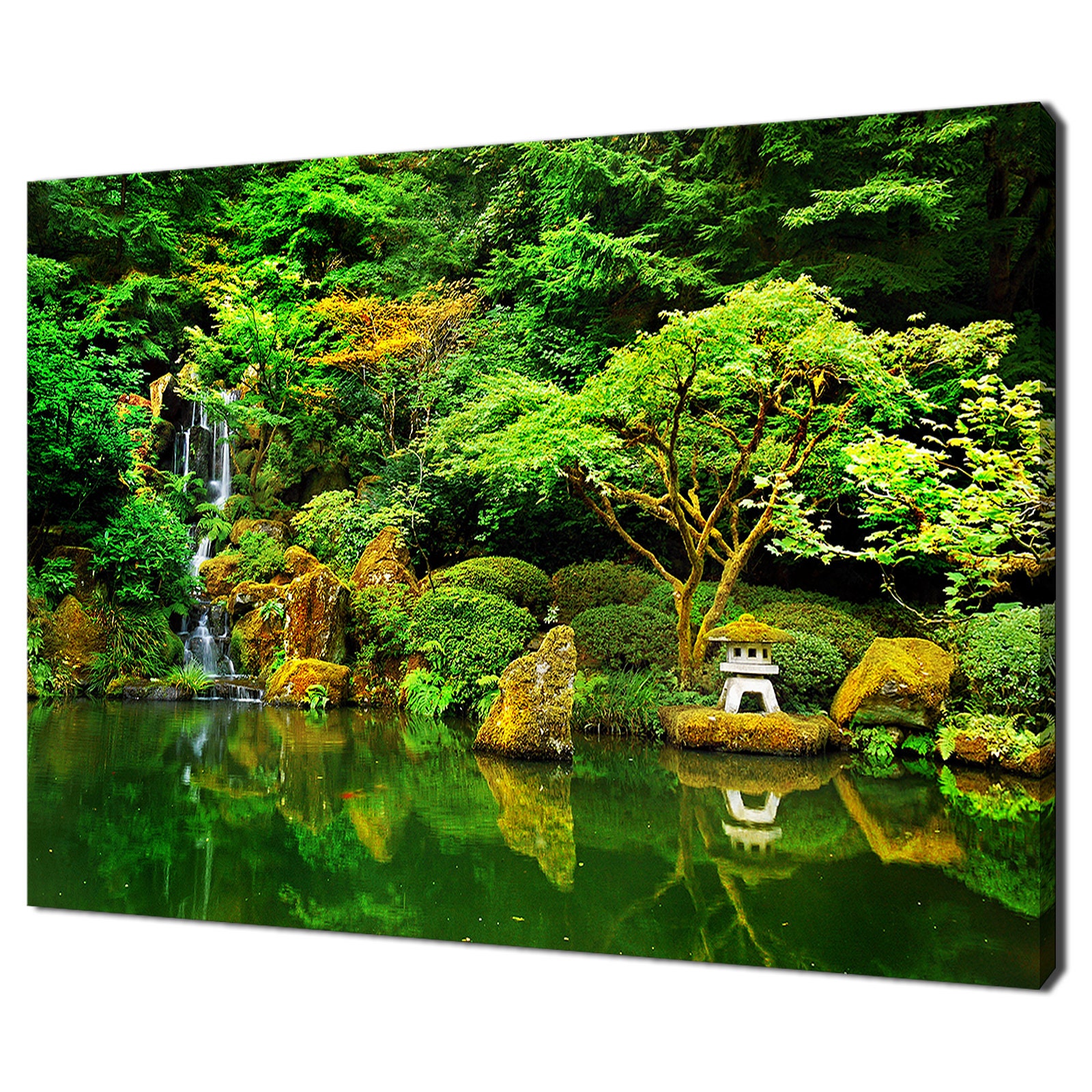 Lac, Plante Verte, Arbre, Herbe Dans Le Jardin Japonais De Zen Photo stock  - Image du sapins, jardin: 73019544