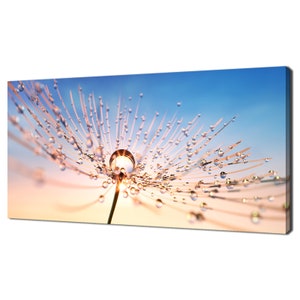 Dandelion Seeds With Dew Water Drops At Sunset Modern Design Canvas Print Wall Art Picture