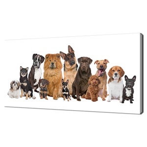 Group Of Twelve Sitting Dogs Kids Room Nursery Modern Design Home Decor Canvas Print Wall Art Picture Ready To Hang