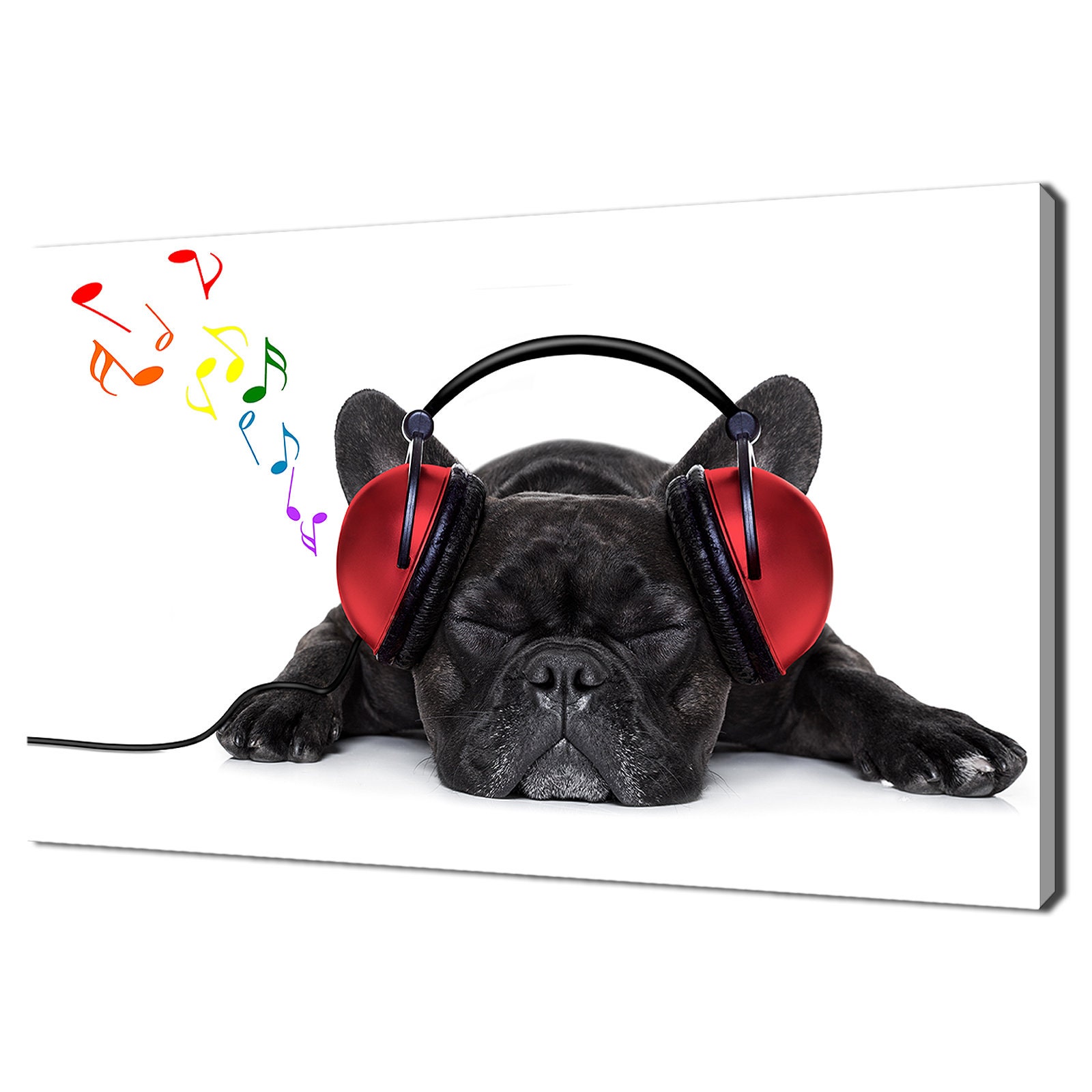 Bulldog with headphones sale