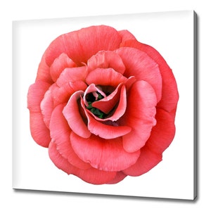 Beautiful Red Rose Flower Modern Floral Design Home Decor Canvas Print Wall Art Picture