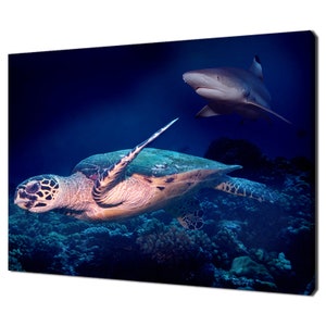 Schildkröte schwimmt weg vom Hai im blauen Meer Wasser Modernes Design Wohnkultur Leinwand Wand Kunst Bild