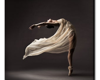 Stunning Ballerina Dancing In Silk Dress Modern Design Home Decor Canvas Print Wall Art Picture
