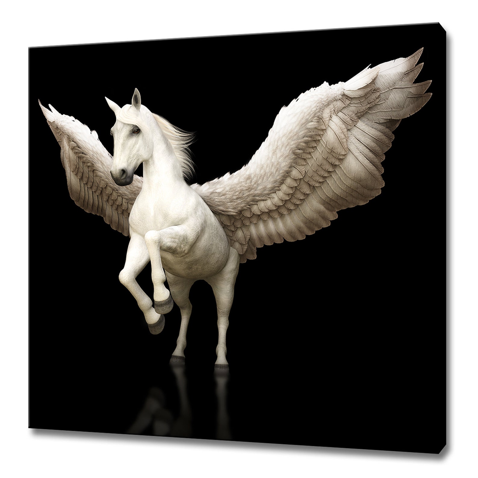 Beautiful White Pegasus Majestic Mythical Greek Winged Horse Modern ...
