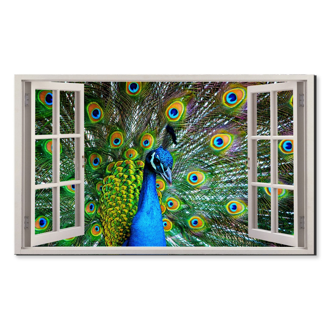 Peacock Bird Colourful Window View, Window Frame Style Modern Design ...