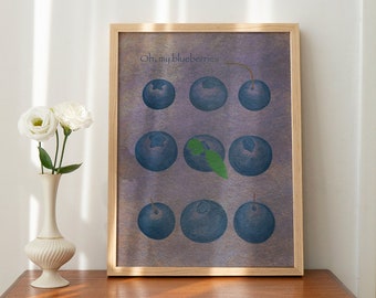 Blueberries Illustration, Vintage Print,  Giclée Fine Art Print