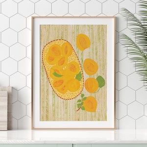 Illustratie abrikozen, vintage poster, kleurrijke keukenprint, giclée fine-art-print