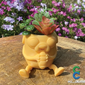 Jake the Dog Pothead plantenbak Adventure Time fanart 3D-geprinte pot/plantenbak bureaudecoratie