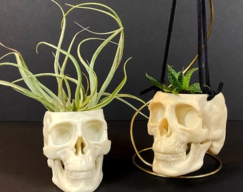 3D Printed 4" Human Skull Planter