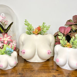 Boobie Planter 3D Print (Pierced Nipple Options Available)