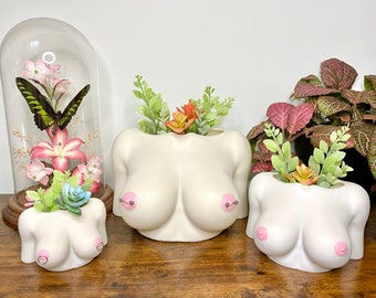 Boobie Planter Impression 3D (options de mamelon percé disponibles)