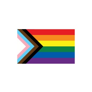 May include: A pride flag with a black, brown, light blue, pink, and white triangle in the top left corner. The rest of the flag is a rainbow with red, orange, yellow, green, blue, and purple stripes.