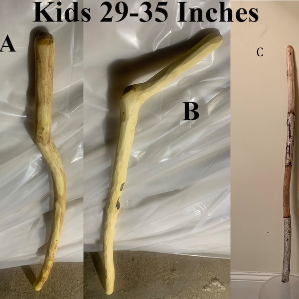 Hand Carved Walking Sticks