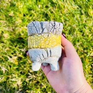 Assorted Succulent planter pot