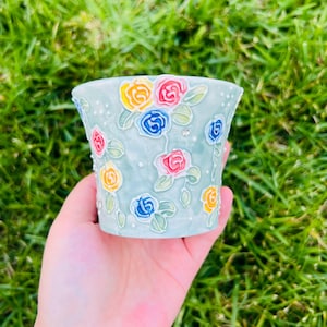 Hand-painted Ceramic Succulent Planter Pot