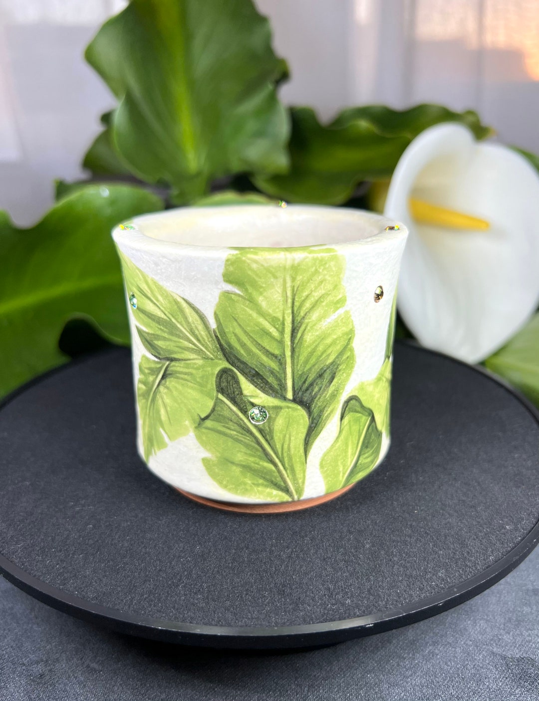 Mi Hand Painted Succulent Planter Pot Etsy   Il 1080xN.3745347278 Ku9q 