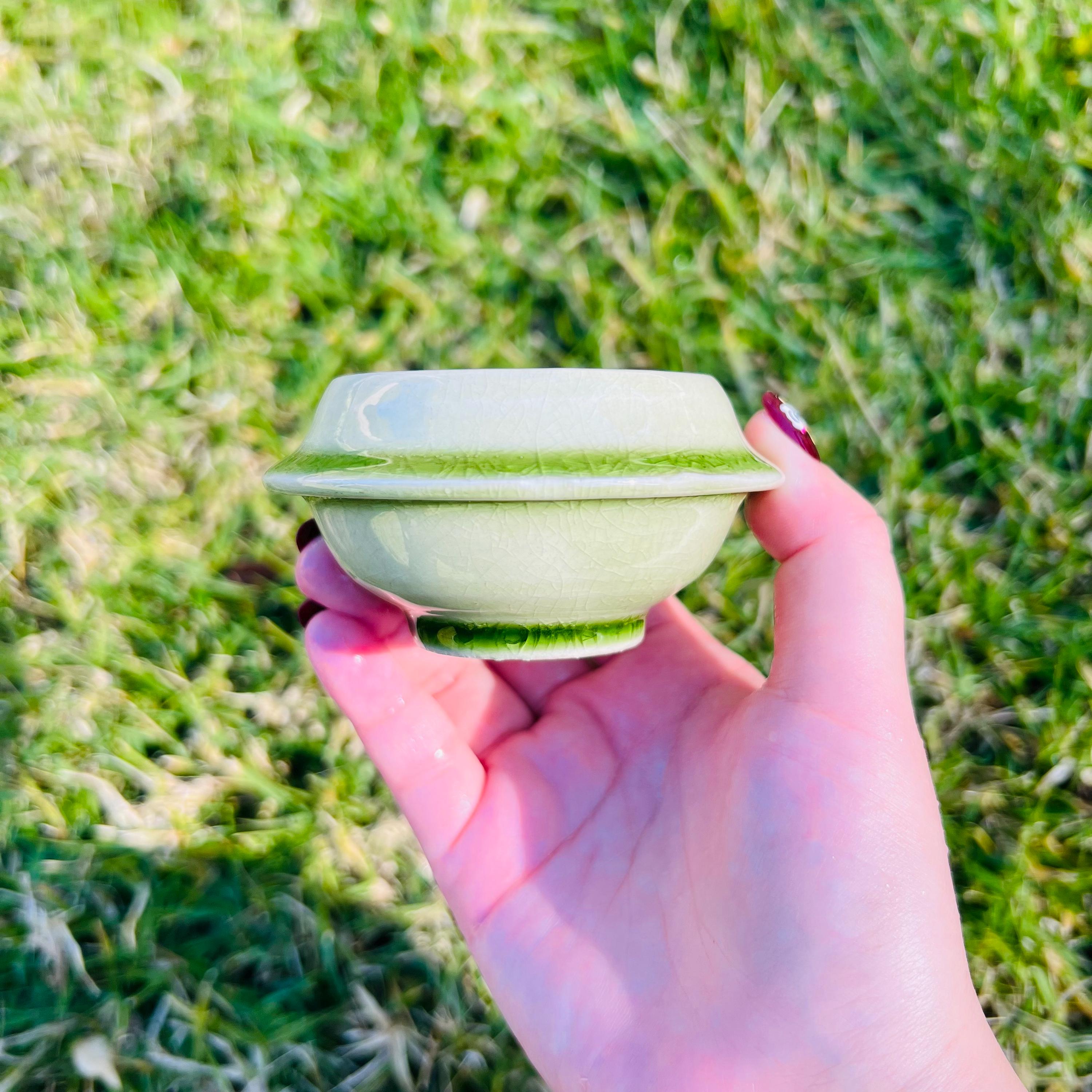 Assorted small succulent Planter Pot