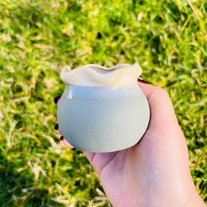 Assorted Succulent Planter Pot