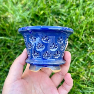 May include: A small, cobalt blue ceramic planter with a glossy finish. The planter features a series of embossed leaf designs around the exterior. The base has three small feet. The planter is held in a hand against a backdrop of green grass.