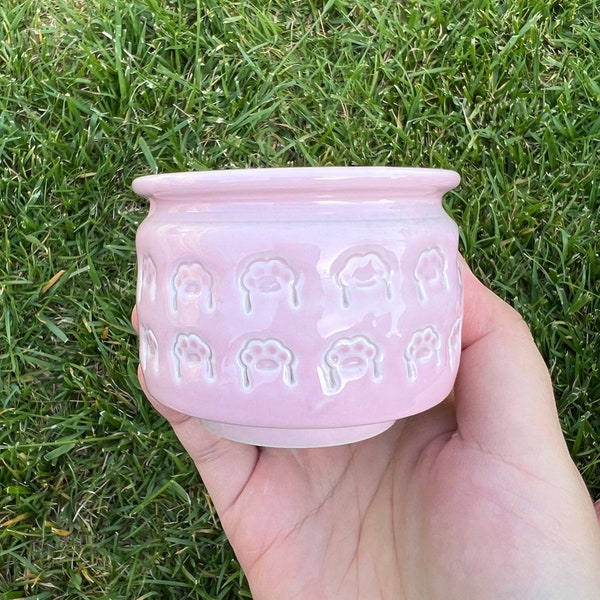 Glazed Succulent Planter Pot