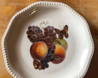 Rosenthal Bavaria Porzellanteller mit Motiv Früchte und Insekten und Perlrand