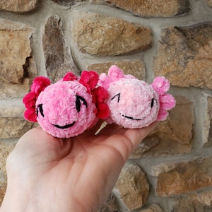 Cute Crochet Axolotl Amigurumi, Crochet Axolotl Amigurumi, Stress Relief Toy, Axolotl Desk Buddy, Axolotl Plushie, Axolol Lover, Cute Toys