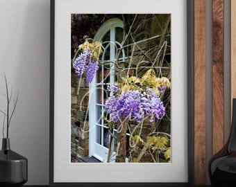Wisteria Cottage Wall Art | Purple Floral Photography Print | Instant Digital Download | Cottagecore Home Decor