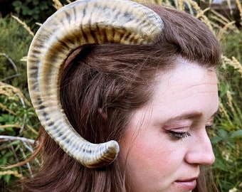 Ram Horns
