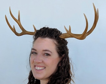 Antlers - Large Size