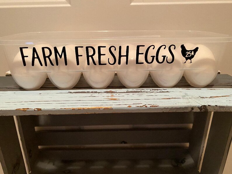 Reusable Egg Cartons With Funny Sayings Etsy