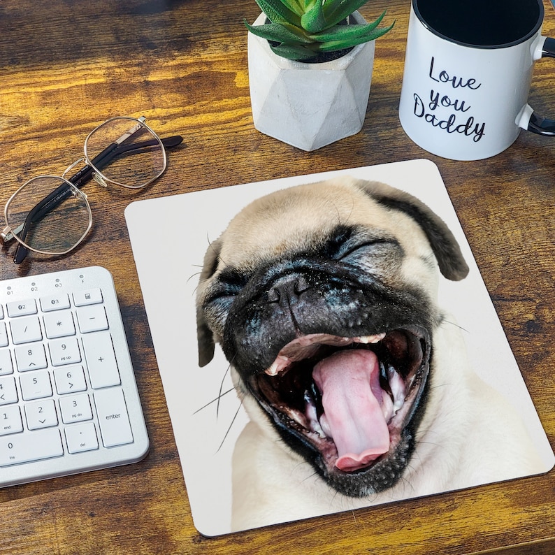 May include: A close-up of a pug dog with its mouth open, tongue out, and eyes closed. The dog is light brown and white in colour.